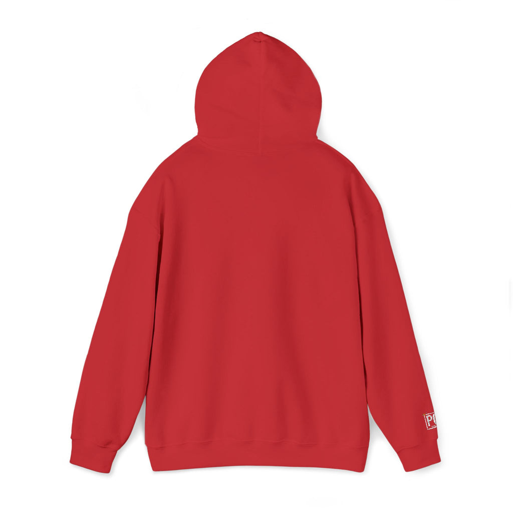 Poetic Chaos Embroided Floral Hoodie