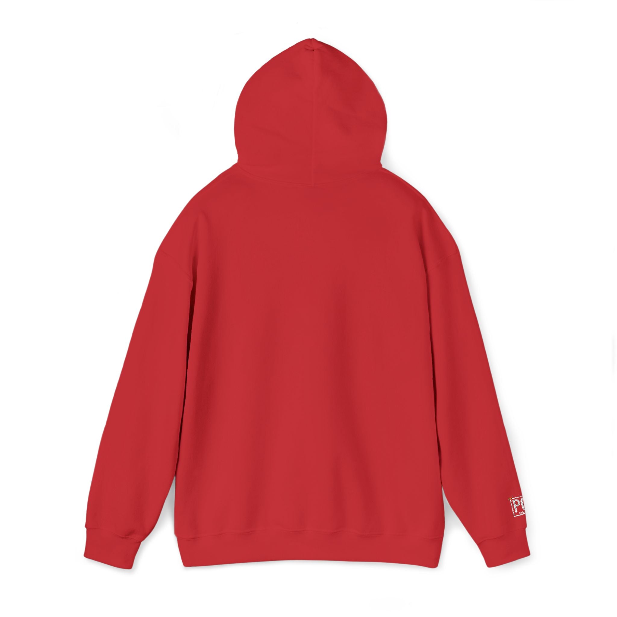 Poetic Chaos Embroided Floral Hoodie